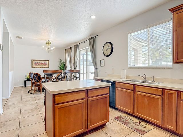 228 CASSIA DRIVE, Davenport, FL 33897