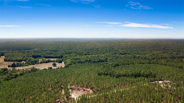 508 Hubert Cryer Road, Zavalla, TX 75980