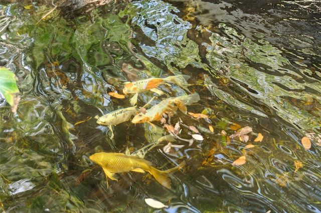 108 BEAUFORT DRIVE, Longwood, FL 32779