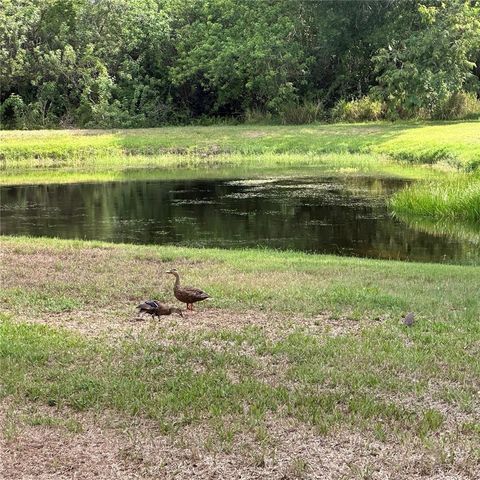 116 SILVER FALLS DRIVE, Apollo Beach, FL 33572