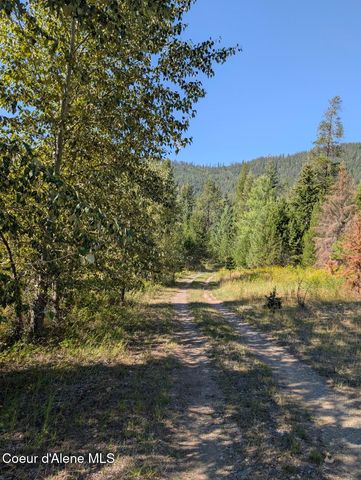 NNA 46 acres Iron Horse Rd, Bonners Ferry, ID 83805