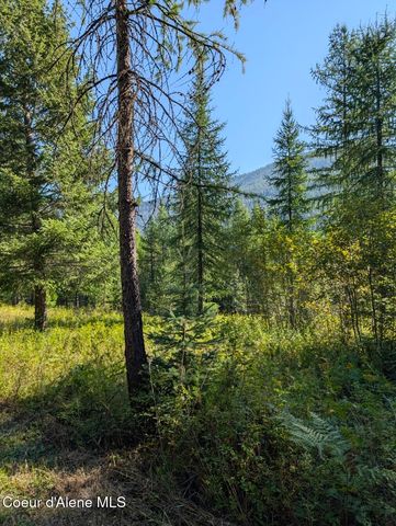 NNA 46 acres Iron Horse Rd, Bonners Ferry, ID 83805