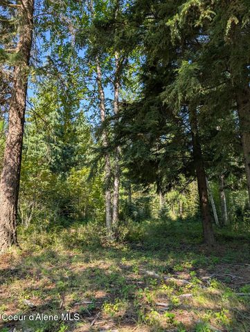 NNA 46 acres Iron Horse Rd, Bonners Ferry, ID 83805