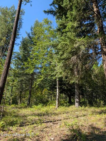 NNA 46 acres Iron Horse Rd, Bonners Ferry, ID 83805