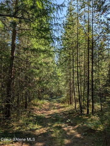 NNA 46 acres Iron Horse Rd, Bonners Ferry, ID 83805