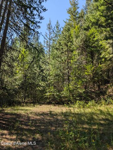 NNA 46 acres Iron Horse Rd, Bonners Ferry, ID 83805