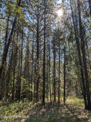 NNA 46 acres Iron Horse Rd, Bonners Ferry, ID 83805