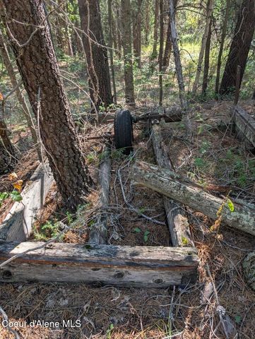 NNA 46 acres Iron Horse Rd, Bonners Ferry, ID 83805