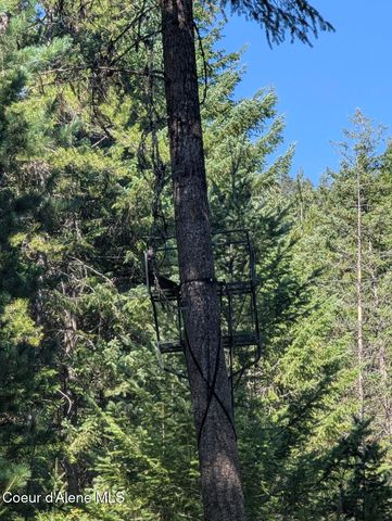 NNA 46 acres Iron Horse Rd, Bonners Ferry, ID 83805