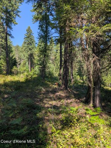NNA 46 acres Iron Horse Rd, Bonners Ferry, ID 83805