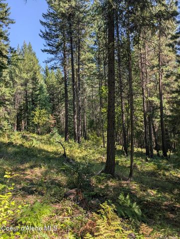 NNA 46 acres Iron Horse Rd, Bonners Ferry, ID 83805