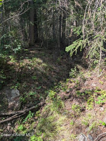 NNA 46 acres Iron Horse Rd, Bonners Ferry, ID 83805