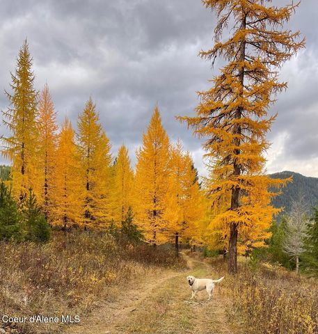 NNA 46 acres Iron Horse Rd, Bonners Ferry, ID 83805