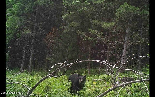 NNA 46 acres Iron Horse Rd, Bonners Ferry, ID 83805