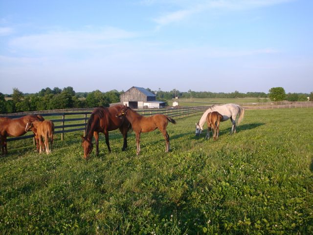 200 Carpenter Pike, Versailles, KY 40383