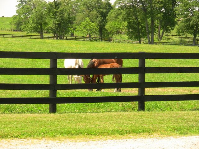 200 Carpenter Pike, Versailles, KY 40383