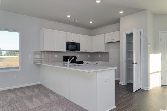 1121 Hainer Place Dr, Conway, SC 29526