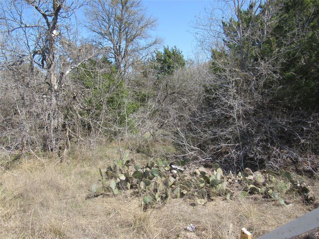7669 Nez Perce TRCE, Manor, TX 78653