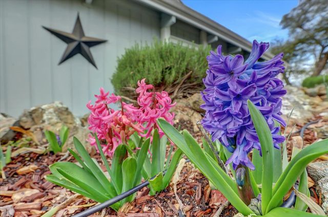 12025 Wanderer Rd, Auburn, CA 95602