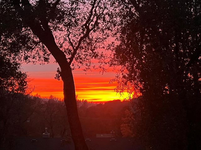 12025 Wanderer Rd, Auburn, CA 95602