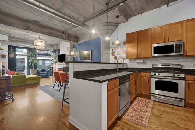1110 W 15th Street 316, Chicago, IL 60608