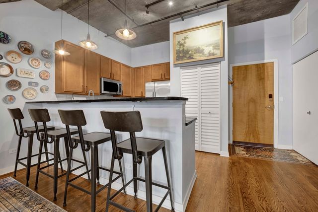 1110 W 15th Street 316, Chicago, IL 60608