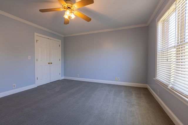 336 Nob North Drive, Cohutta, GA 30710