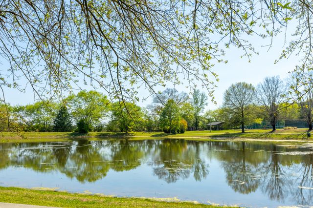 336 Nob North Drive, Cohutta, GA 30710