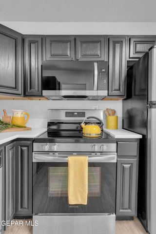 4433 N Stanton Street 317, El Paso, TX 79902