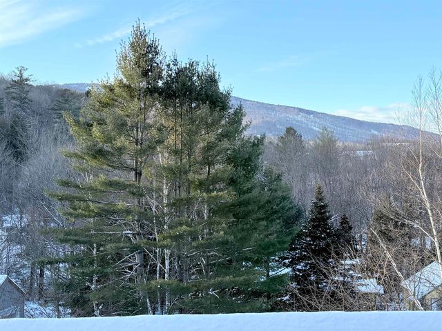 32 Plumley Avenue, Ludlow, VT 05149