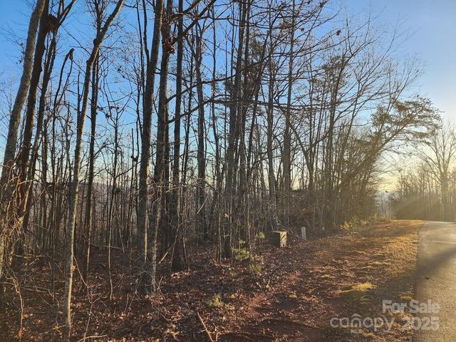 69 Adirondack Lane, Bostic, NC 28018