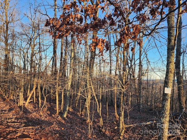 69 Adirondack Lane, Bostic, NC 28018