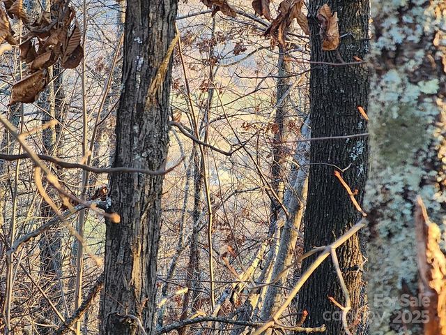 69 Adirondack Lane, Bostic, NC 28018