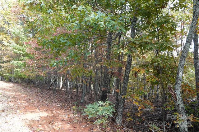 69 Adirondack Lane, Bostic, NC 28018