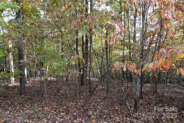 69 Adirondack Lane, Bostic, NC 28018