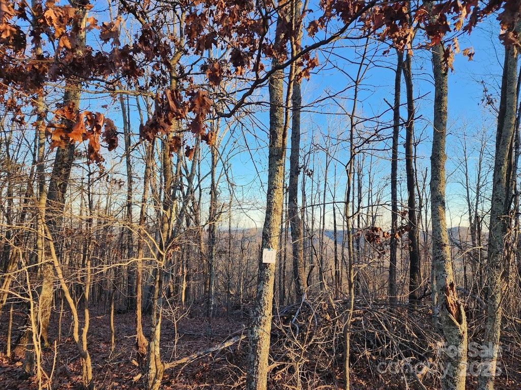 69 Adirondack Lane, Bostic, NC 28018