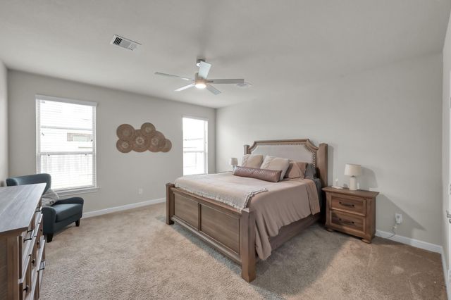 241 Bright Bluff Circle, Waller, TX 77484