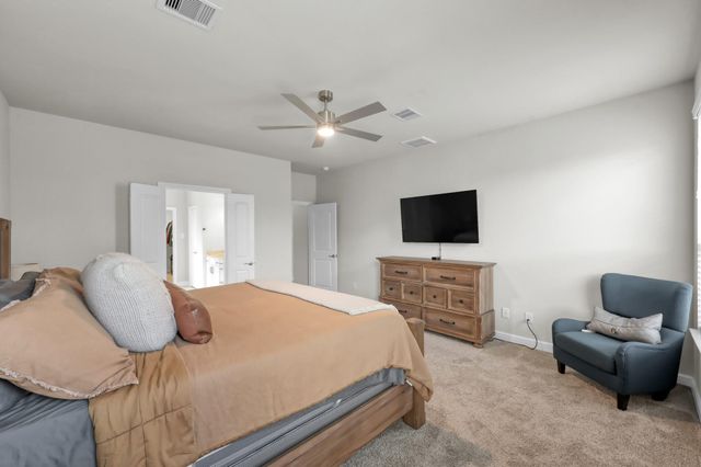 241 Bright Bluff Circle, Waller, TX 77484