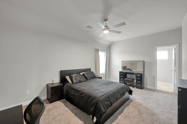 241 Bright Bluff Circle, Waller, TX 77484