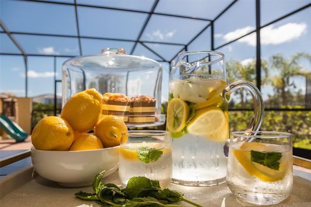 4662 TERRASONESTA DRIVE, Davenport, FL 33837