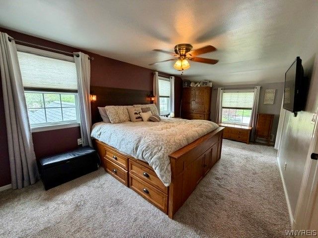 20 Copley Sq, Amherst, NY 14221
