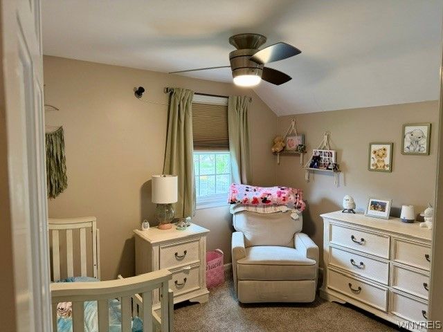 20 Copley Sq, Amherst, NY 14221
