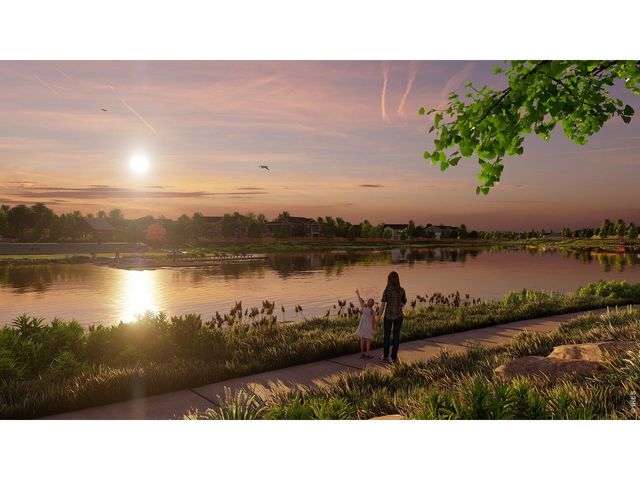 4541 Parkline St, Timnath, CO 80547
