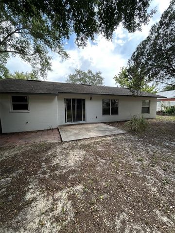 119 W 10TH AVENUE, Mount Dora, FL 32757