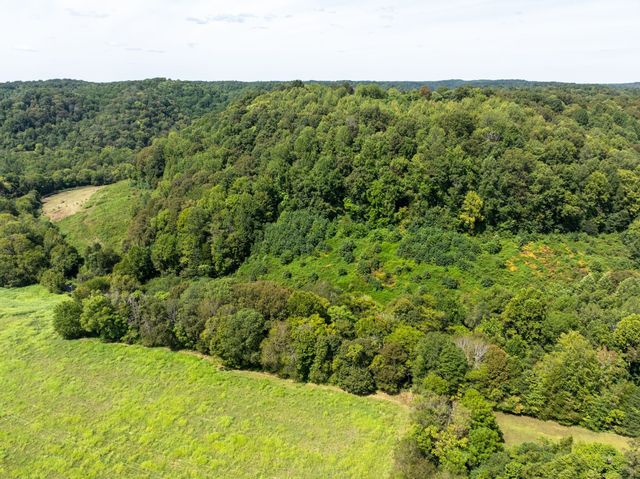 4125 Dry Creek Rd, Celina, TN 38551