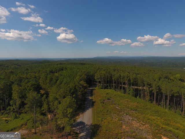 0 Johnson Mountain Road 7401-E, Rydal, GA 30171