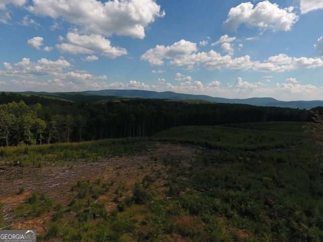0 Johnson Mountain Road 7401-E, Rydal, GA 30171