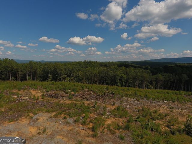 0 Johnson Mountain Road 7401-E, Rydal, GA 30171