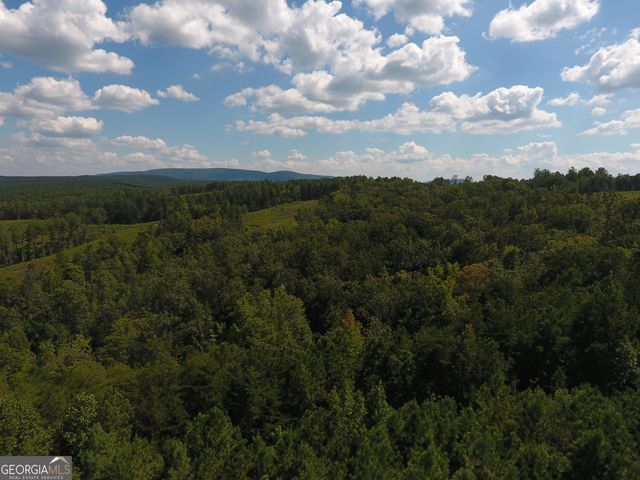 0 Johnson Mountain Road 7401-E, Rydal, GA 30171