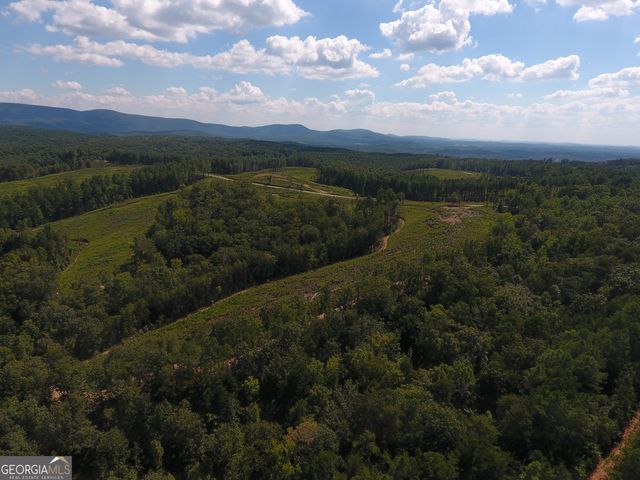 0 Johnson Mountain Road 7401-E, Rydal, GA 30171